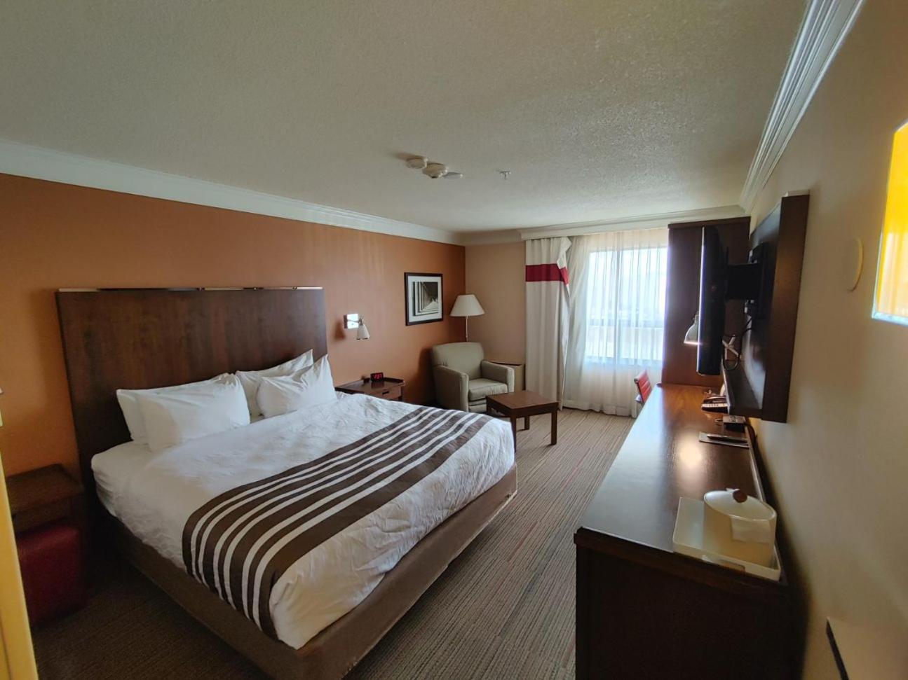Waterloo Suites Hotel, Trademark Collection By Wyndham Екстер'єр фото