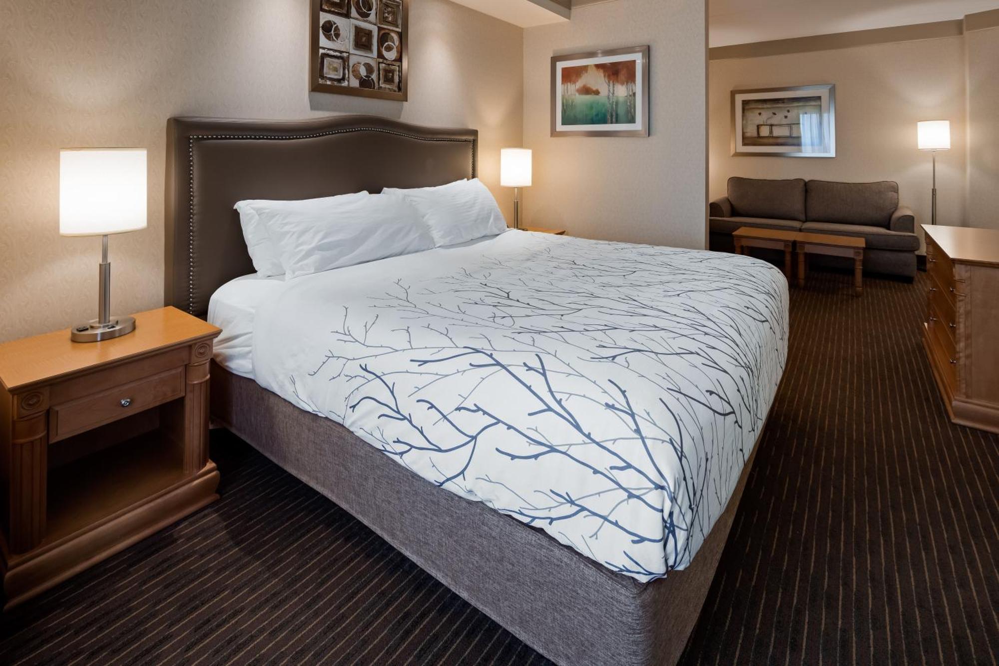 Waterloo Suites Hotel, Trademark Collection By Wyndham Екстер'єр фото